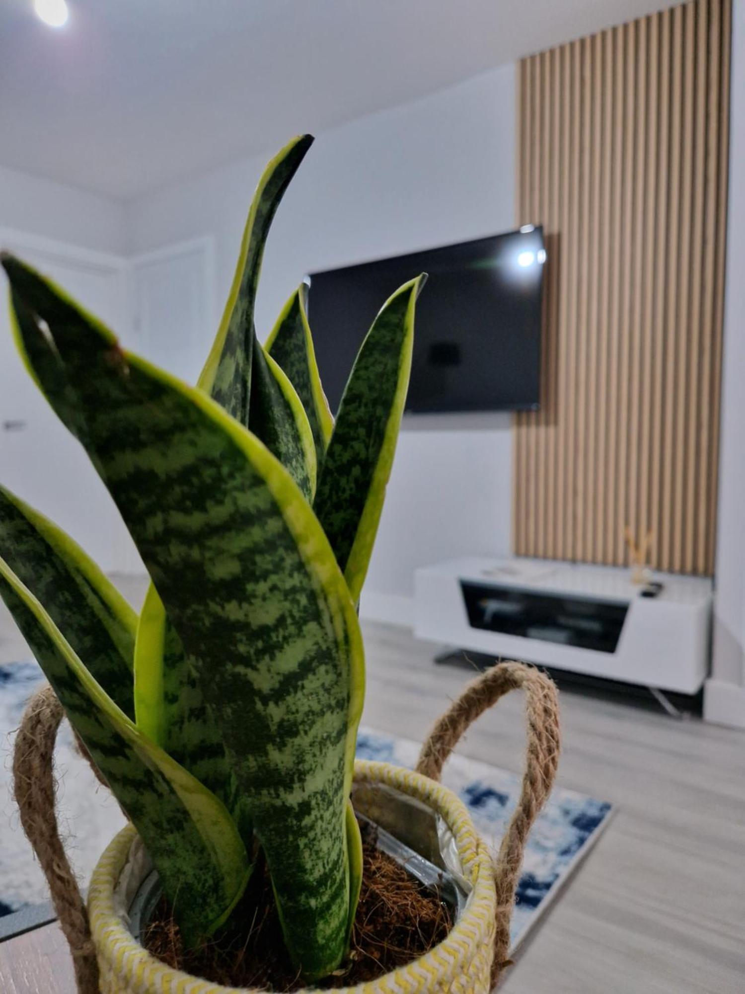 Stylish 2 Bed Home- Short Walk To Tottenham Stadium/Stations London Exterior photo